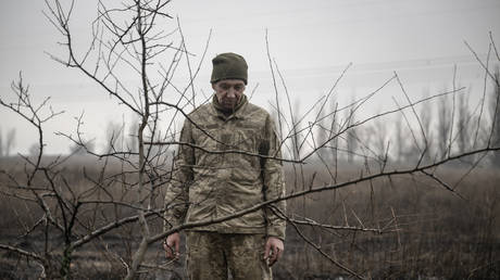 Kiev treats soldiers as slaves – MP