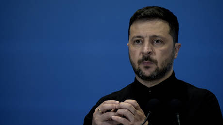 Zelensky not invited to Putin-Trump summit – WaPo