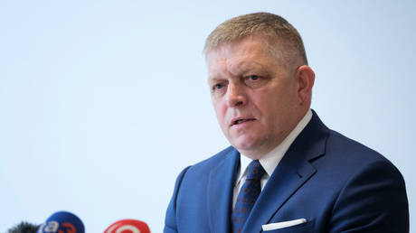 West ‘used’ Ukraine – EU state’s PM