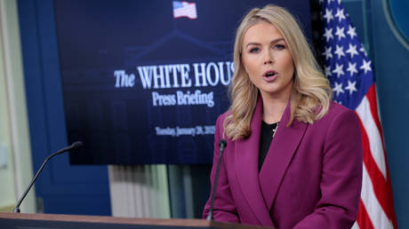 FILE PHOTO: White House Press Secretary Karoline Leavitt.