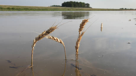 EU nation declares state of emergency