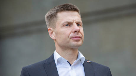 Ukraine could recruit ‘millions’ of foreigners – MP