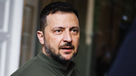 Zelensky claims Ukraine ‘security guarantees’ will be ready next week