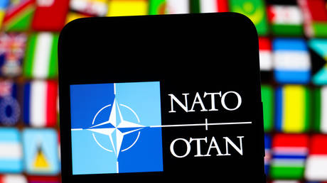 NATO members terrorizing their own people – Russian envoy