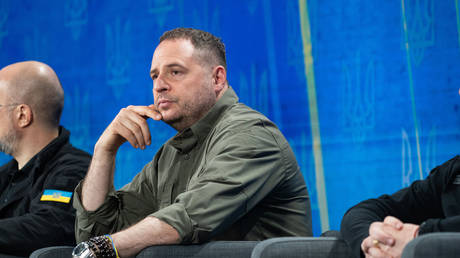 Zelensky’s former top aide ‘disgusted by lack of support’ amid corruption probe