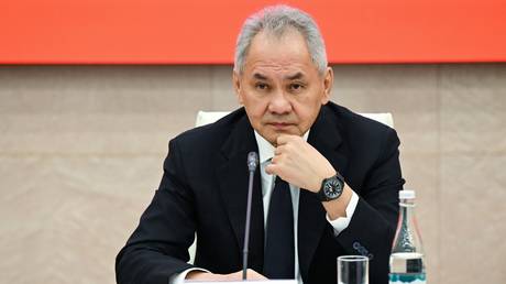Russian security chief issues drone attack warning to four NATO states