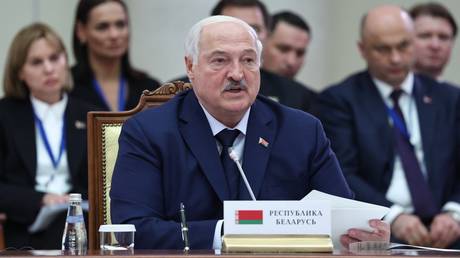 Macron should ‘get moving’ on Ukraine diplomacy – Lukashenko