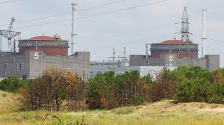 Zaporozhye nuclear power plant staff wounded by Ukrainian landmines – Rosatom CEO
