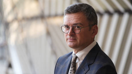 Ex-Ukrainian foreign minister explains why he’s not at the front