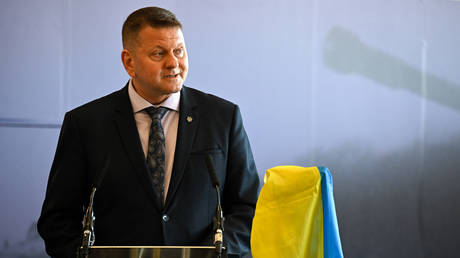 Zelensky would lose election to former top general – poll